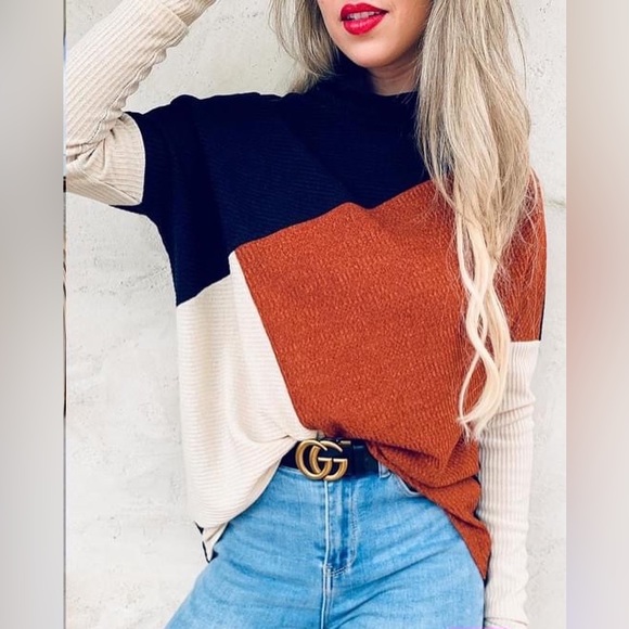 Plus Size Color Block Rib Turtleneck - Picture 3 of 4